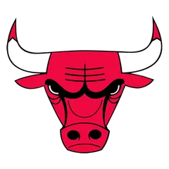 Chicago Bulls logo