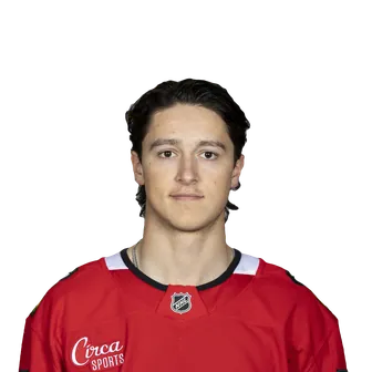 Nick Lardis headshot