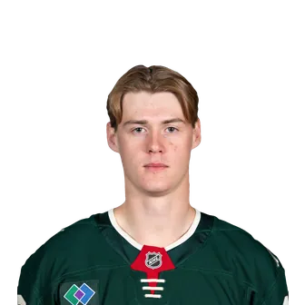 Viking Gustafsson Nyberg headshot