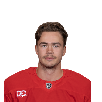 William Wallinder, Detroit Red Wings
