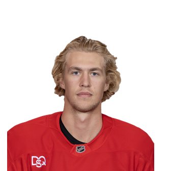 Simon Edvinsson, Red Wings de Détroit