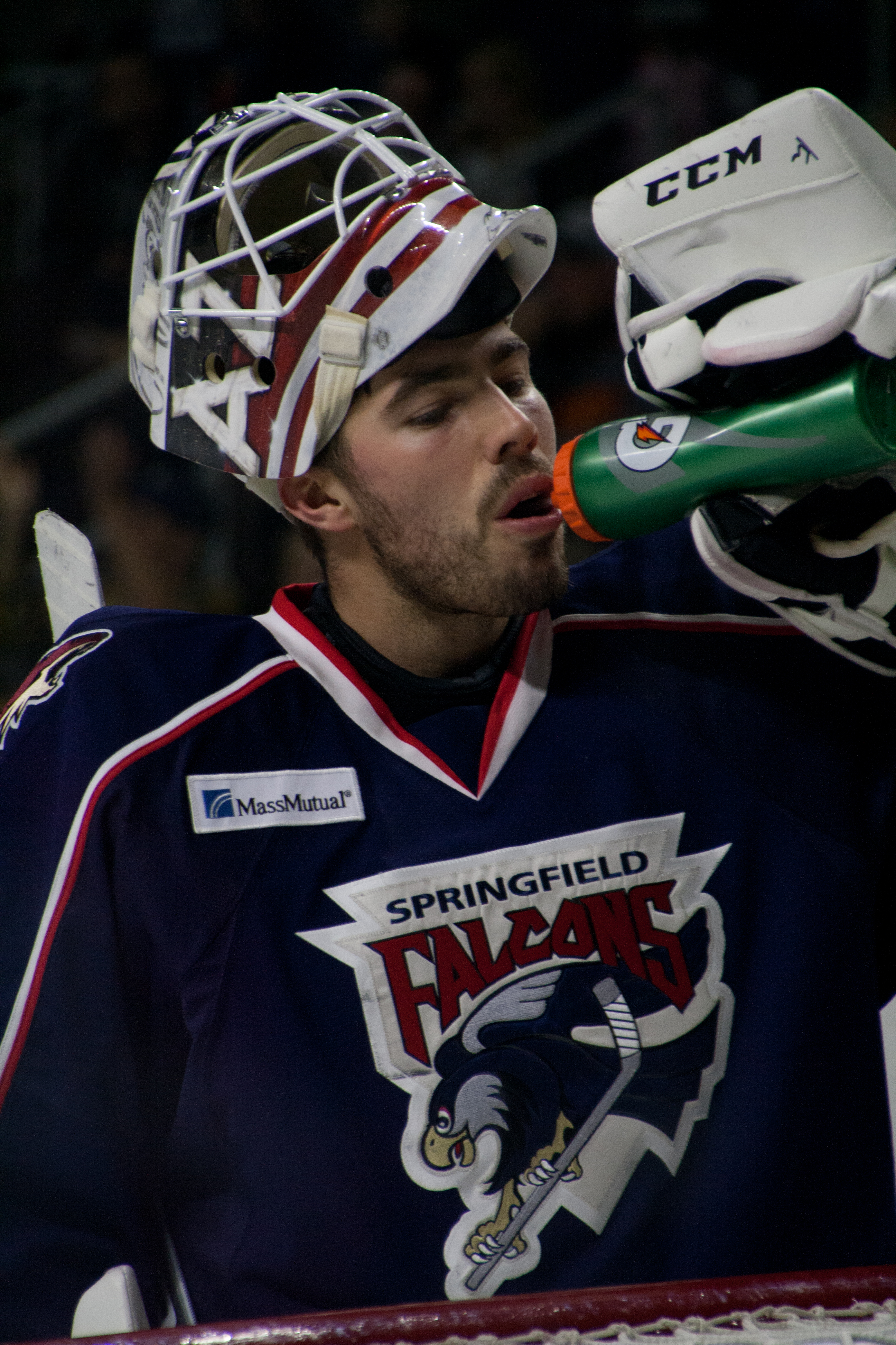 Louis Domingue in Springfield Falcons uniform