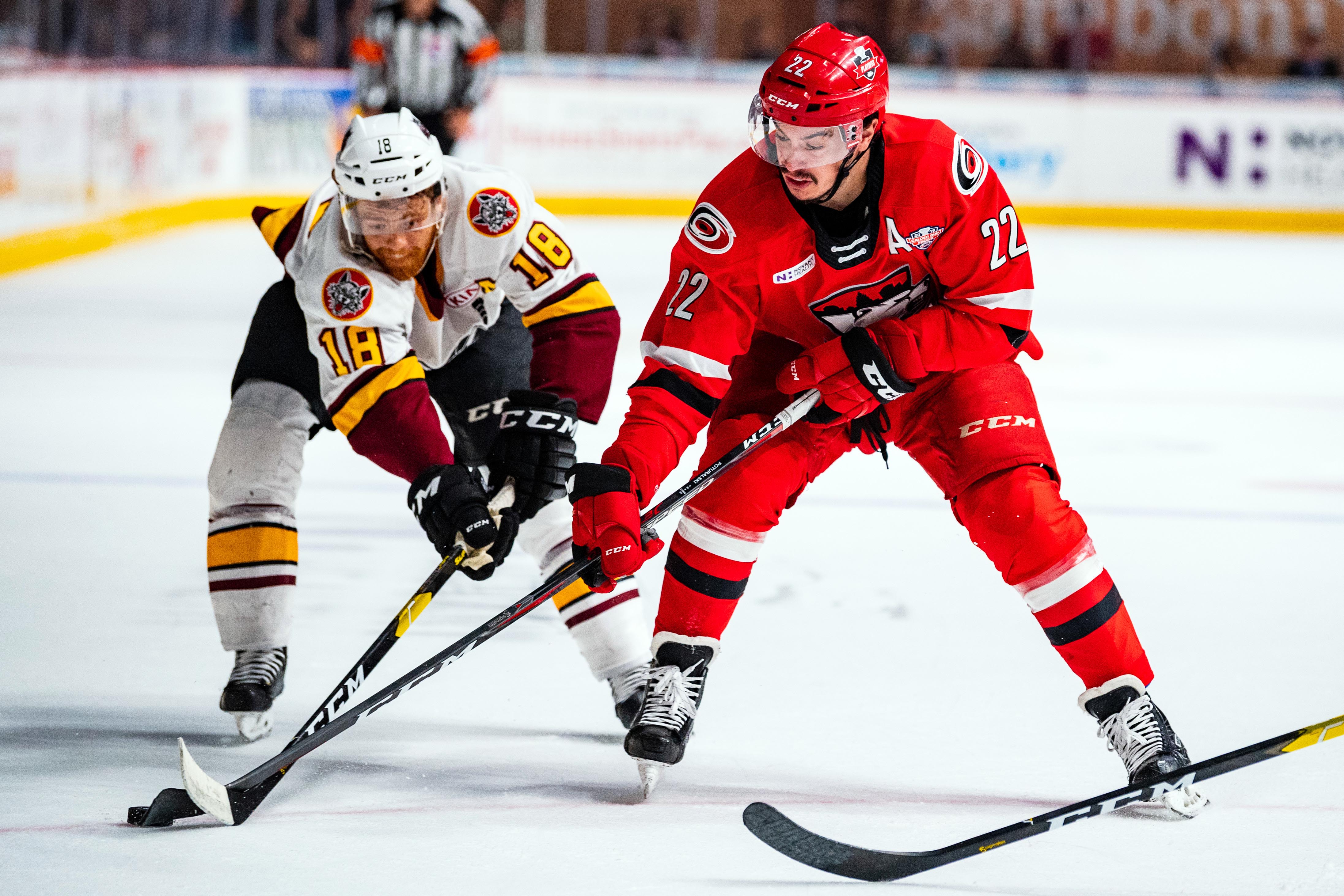 Portrait de T.J. Tynan pendant la finale de la Coupe Calder 2019