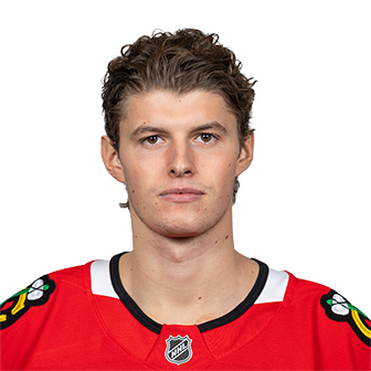 Lukas Reichel headshot