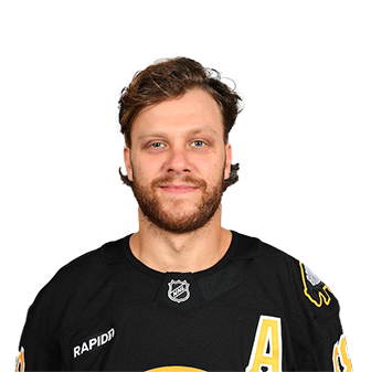 David Pastrnak headshot